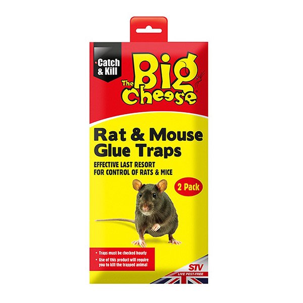 Big Cheese - Rat & Mouse Glue Traps