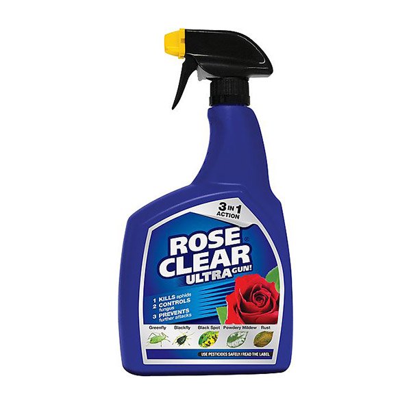 Rose Clear